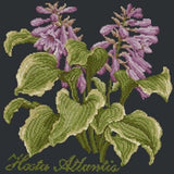 Hosta Atlantis - NEEDLEWORK KITS