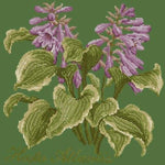 Hosta Atlantis - NEEDLEWORK KITS