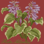 Hosta Atlantis - NEEDLEWORK KITS