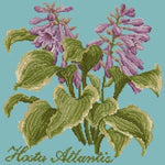 Hosta Atlantis - NEEDLEWORK KITS