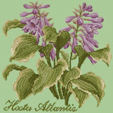 Hosta Atlantis - NEEDLEWORK KITS