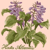 Hosta Atlantis - NEEDLEWORK KITS