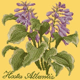 Hosta Atlantis - NEEDLEWORK KITS