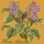 Hosta Atlantis - NEEDLEWORK KITS