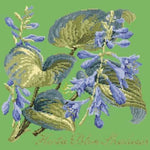 Hosta Blue Shadows - NEEDLEWORK KITS