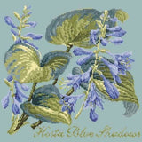 Hosta Blue Shadows - NEEDLEWORK KITS