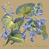 Hosta Blue Shadows - NEEDLEWORK KITS