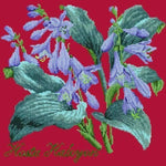 Hosta Halcyon - NEEDLEWORK KITS