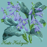 Hosta Halcyon - NEEDLEWORK KITS