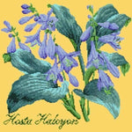 Hosta Halcyon - NEEDLEWORK KITS