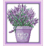 Lavender plants