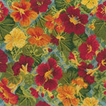 Nasturtium Trellis - NEEDLEWORK KITS