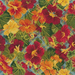 Nasturtium Trellis - NEEDLEWORK KITS