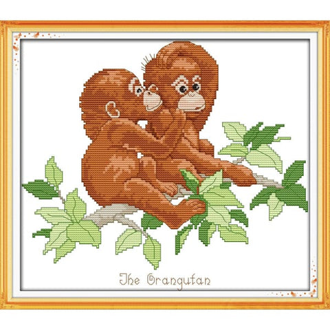 Orangutan