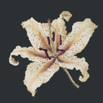 Oriental Lily - NEEDLEWORK KITS