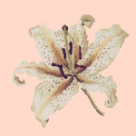 Oriental Lily - NEEDLEWORK KITS