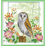 Owl 7