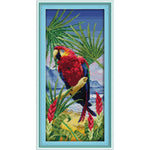 Parrot (3)