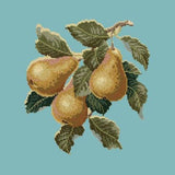 Pears - NEEDLEWORK KITS