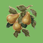 Pears - NEEDLEWORK KITS