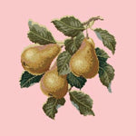 Pears - NEEDLEWORK KITS