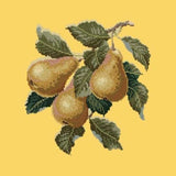 Pears - NEEDLEWORK KITS