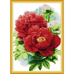 Peony blooming with wealth