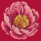 Peony - NEEDLEWORK KITS