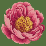 Peony - NEEDLEWORK KITS