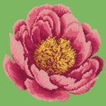 Peony - NEEDLEWORK KITS