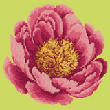 Peony - NEEDLEWORK KITS