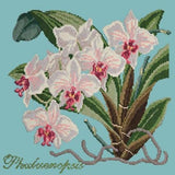 Phalaenopsis (Moth Orchid) - NEEDLEWORK KITS