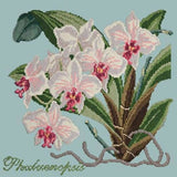 Phalaenopsis (Moth Orchid) - NEEDLEWORK KITS