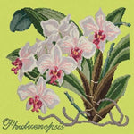 Phalaenopsis (Moth Orchid) - NEEDLEWORK KITS