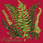 Polypodium - NEEDLEWORK KITS