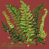 Polypodium - NEEDLEWORK KITS