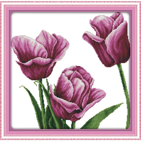 Purple tulip (3)