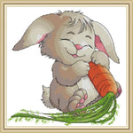 Rabbit and Carrot