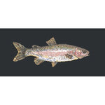 Rainbow Trout - NEEDLEWORK KITS