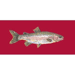 Rainbow Trout - NEEDLEWORK KITS