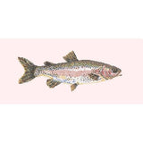 Rainbow Trout - NEEDLEWORK KITS