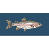 Rainbow Trout - NEEDLEWORK KITS