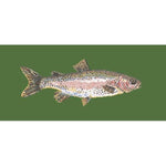 Rainbow Trout - NEEDLEWORK KITS