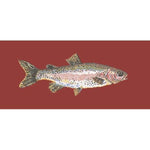 Rainbow Trout - NEEDLEWORK KITS