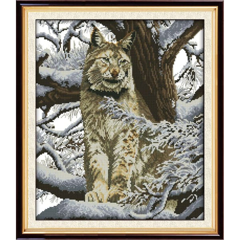 Snow leopard (2)