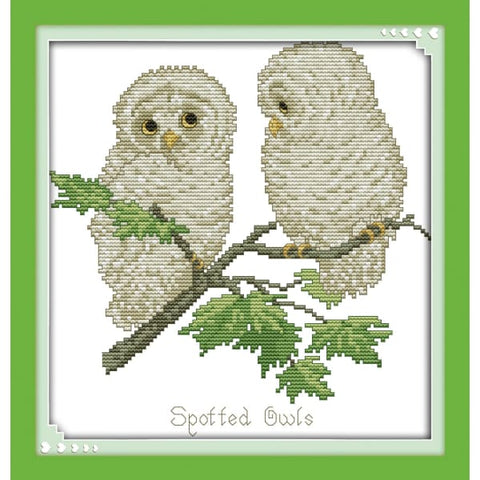 Spotted Owls