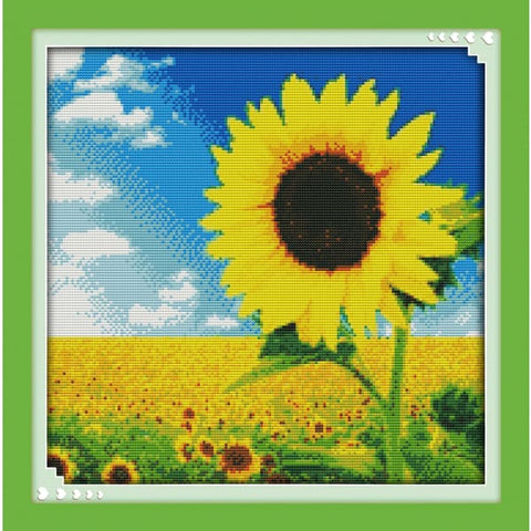 Sunflower (5)