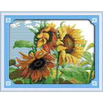 Sunflowers in wind