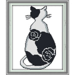 The black and white cat