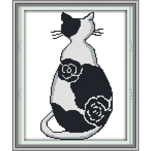 The black and white cat